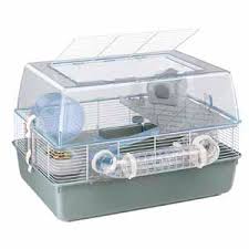 It is also spacious enough to comfort your active hamster. Pets At Home Plastic Syrian And Dwarf Hamster Cage Large Pets At Home