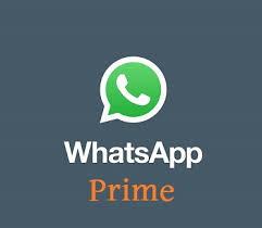 December 16, 2020 by admin leave a comment. Whatsapp Prime Apk Latest V1 2 1 Download Mtkarena