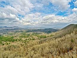 Check spelling or type a new query. Mineral Bluff Georgia Home Auto Life Dickey Mccay Insurance Agency
