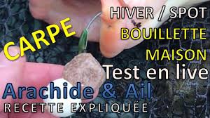 Recette Bouillette Maison Ail Arachide Testee Et Approuvee Par Les Carpes Youtube