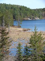Pin By Cathy Chenoweth On Hatchet Canada Travel Canadian Forest Ontario