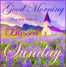 We did not find results for: May You Have A Blessed Sunday