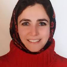 Intellectual Disability and Autism Gene Curation Expert Panel