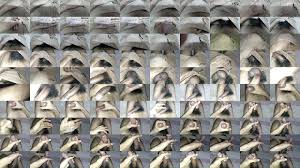 Indian gay Video - PORNORAMA.COM