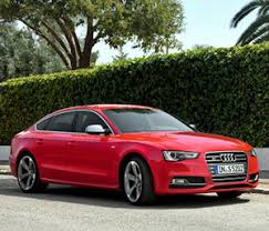 Image result for Brilliant Red 2010 S5