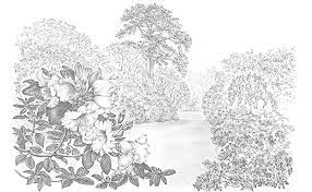 Some flowers or compositions are quite complex and attention should be paid to proportions, foreshortening and perspective. Drawing Trees And Flowers Eggleton Margaret 9781782218302 Amazon Com Books