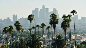 California No-Contest Clauses for Wills & Trusts
