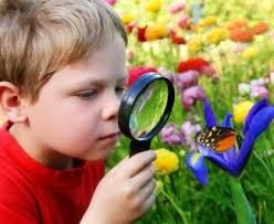 Stages et vacances d'été à la Ferme des Castors