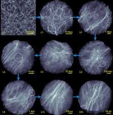 More is unknown than is known — we know how much there is, and we know some of its properties; Universal Structure Of Dark Matter Haloes Over A Mass Range Of 20 Orders Of Magnitude Nature