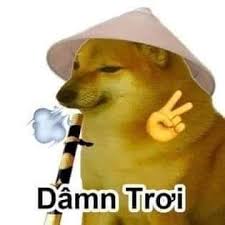 Meme Cheems - tổng hợp 100+ meme và ảnh chế mới nhất