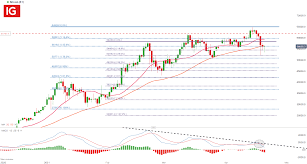 Price chart, trade volume, market cap, and more. Doge Frenzy Continues While Bitcoin Btc Usd Backs Down