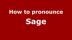 This page is made for those who don't know how to pronounce sage green in english. How To Pronounce Sage French Pronouncenames Com Youtube