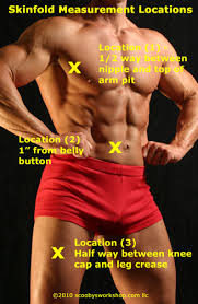 Body Fat Calculator Scoobys Home Workouts