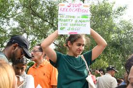 Madras High Court Stray Dog Order