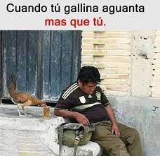 Mándales este meme a tus contactos de whatsapp y facebook por su cumpleaños. Memes Graciosos Para Whatsapp Latest Memes