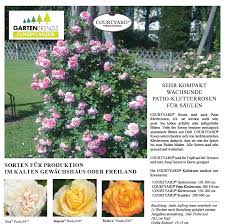 Poulsen's son dines poulsen was sent abroad and for several years worked for peter lambert, the largest rose breeder of the day, in trier in germany. Jungpflanzen Gartentrends