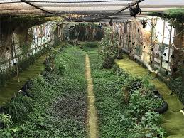 Weitere ideen zu garten berlin, zoologischer garten, garten. Flight Patterns In Zoo Housed Fruit Bats Pteropus Spp Bell 2019 Zoo Biology Wiley Online Library