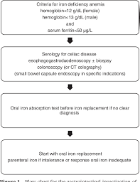 figure 1 from iron deficiency anemia in older adults a