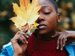 Complete Guide to the Human Design Energy Centers