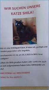 6 hübsch flyer din a6 vorlage solche können einstellen in microsoft word. Luxus Vermisstenanzeige Katze Vorlage Solche Konnen Anpassen Fur Ihre Wichtigsten Inspiration Dillyhearts Com