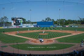 Grant Sought For Traditional Field Project Ballpark Digest