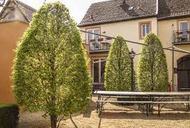 Haus mandelblüte розташований в kurpfalzstrasse 102, і це прекрасне місце для проживання. Haus Mandelblute Ferienwohnungen In Gimmeldingen Neustadt Wstr Haus Mandelblute