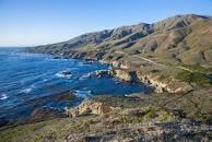 Image result for garrapata