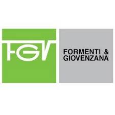 The current status of the logo is active, which means the logo is currently in use. Fgvitaly Youtube
