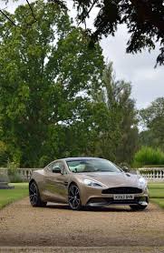 Image result for Selene Bronze 2021 Aston Martin