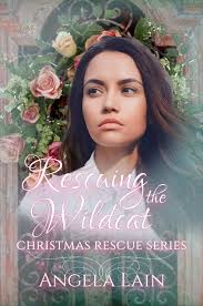 Rescuing The Wildcat (Christmas Rescue #10) by Angela Lain