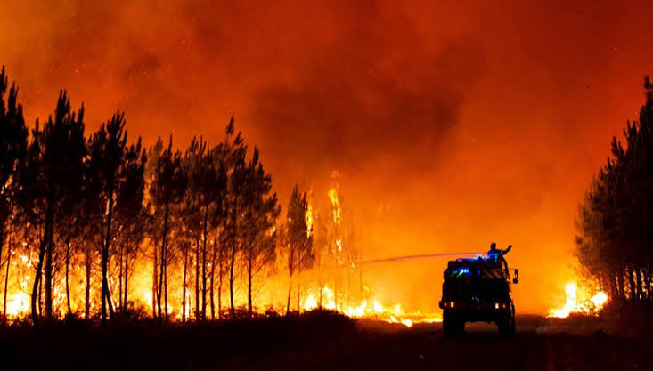 Incendio in Francia, 10mila evacuati in Gironda: le immagini della  devastazione | VirgilioNotizie