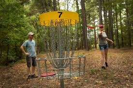 Image result for disc golf