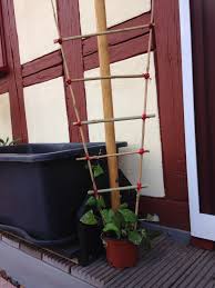 Rankhilfe Diy Garten Rankhilfe Garten Ideen