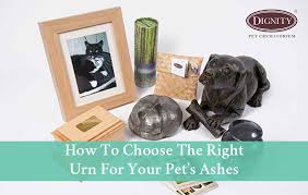 We did not find results for: How To Choose The Right Urn For Pet Ashes Dignity Pet Crematorium