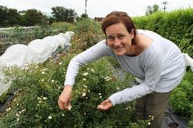 We did not find results for: Edible Flower Trade Coming Up Roses Rnz