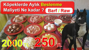 En Uygun Fiyata En Kaliteli Kopek Mamasi Tarifi Barf Raw Cig Beslenme Youtube
