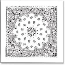 Black And White Paisley Bandana Carolina Mfg Paisley Bandana Rei Co Op In 2020 Bandana Head Wraps Paisley Bandana