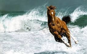 Amazing Composition I Absolutely Love The Horse S Pose And The Waves Foaming Behind It Great Painting Horses Horse Wallpaper Pretty Horses
