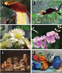 We did not find results for: Teknik Menggambar Flora Fauna Alam Benda Bundet