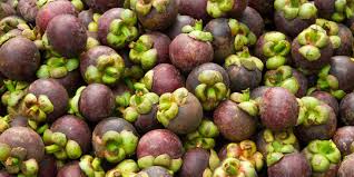 Cair obat tradisional kulit buah manggis. Cara Mengolah Kulit Manggis Kering Dan Segar Untuk Konsumsi Sehari Hari Merdeka Com