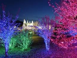 From wikimedia commons, the free media repository. Washington Dc Temple Announces Special Drive Thru Edition Of Annual Festival Of Lights For 2020