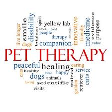 What S The Difference Service Dogs Emotional Support Animals Therapy Dogs Explained Therapy Animals Therapy Dogs Emotional Support Animal