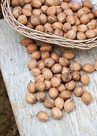 Hickory Nuts Gourmet Ingredientes Otono