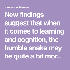 A Real Smart Asp Snakes Show Surprising Ability To Learn Learning University Of Rochester Informative