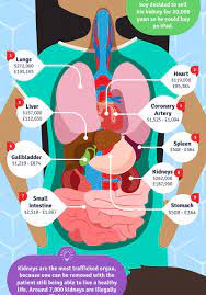 Women seem to have the upper hand with organ donations; Selling Your Kidney On The Black Market Your Lungs Are A Better Bet