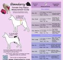 Glenndarcy Washable Dog Season Nappy Pants - Heat Diaper ...