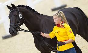 Kwpn Painted Black Gribaldi X Ferro Black Horses Sport Horse Dressage Horses