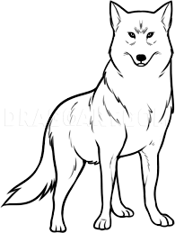 How To Draw Wolf Kiba Step By Step Drawing Guide By Dawn Dragoart Com In 2020 Wolf Drawing Tiger Art Drawings Dragoart is the world's most popular website for learning how to draw with over 13,000+ lessons, for free. pinterest