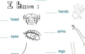 Una selezione di 15 canzoni in inglese per bambini da ascoltare su youtube e con testi sia originali che tradotti in italiano da scaricare in pdf gratis. Esercizi Inglese Per Bambini Inglese Scuola Primaria E Scuola Dell Infanzia Parti Del Corpo Scuola Corpo