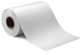 Solar Panel Backsheet Protection